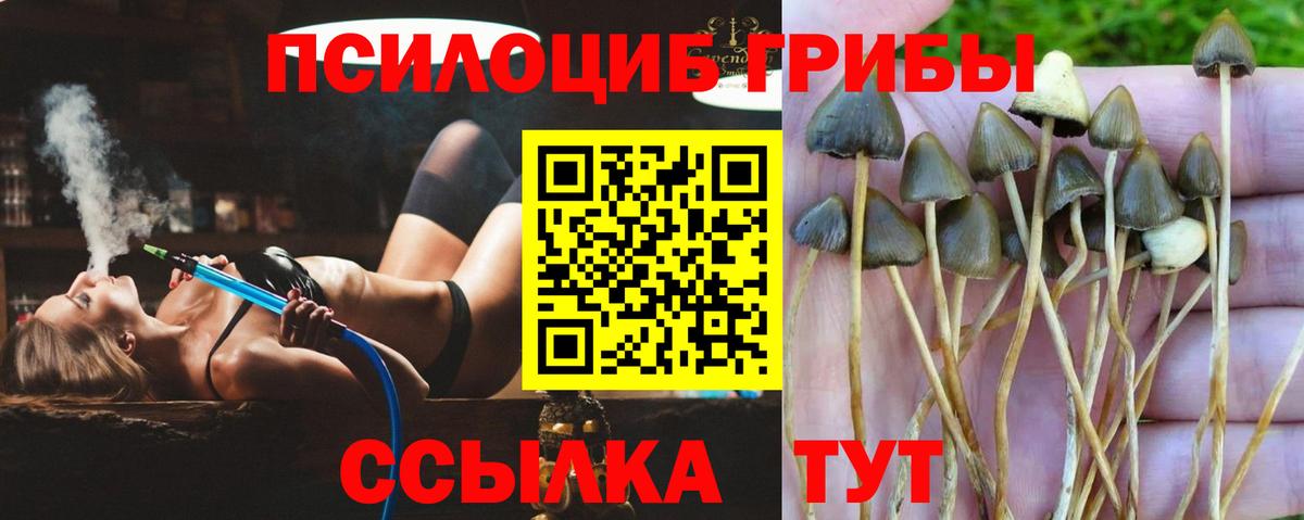 Галлюциногенные грибы мицелий  Вход с VPN  Ульяновск 